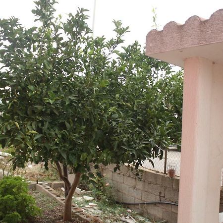 Casa Vacanze Пишинас Екстериор снимка